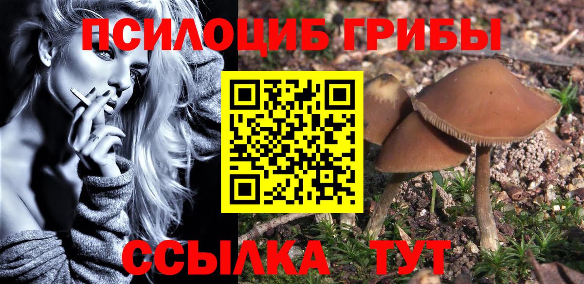 Псилоцибиновые грибы GOLDEN TEACHER Кисловодск