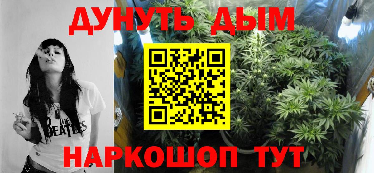 Бошки Шишки марихуана  Бошки Шишки ГИДРОПОН  Марихуана THC 21%  Марихуана марихуана  Кисловодск  Вход с VPN 